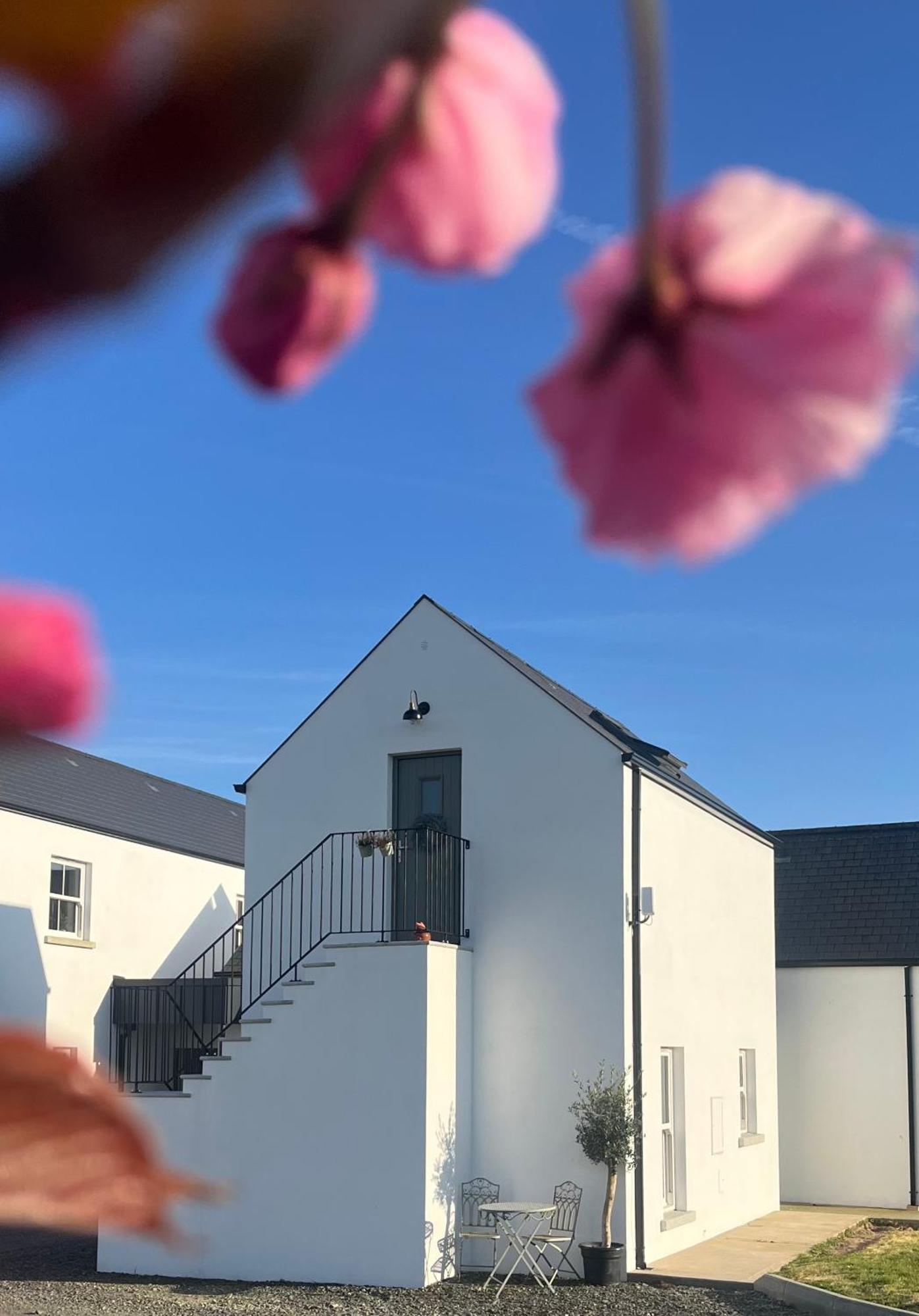 The Loft Curracloe, On Wexfords Coastal Scenic Route Apartment Екстериор снимка